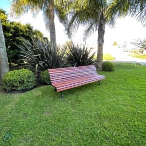 banco de madera en un jardín con palmeras