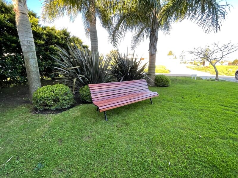 banco de madera en un jardín con palmeras