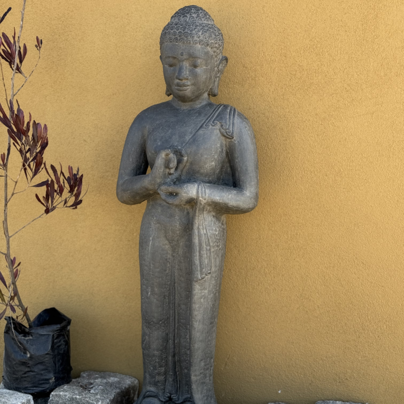 Buda parado BALI