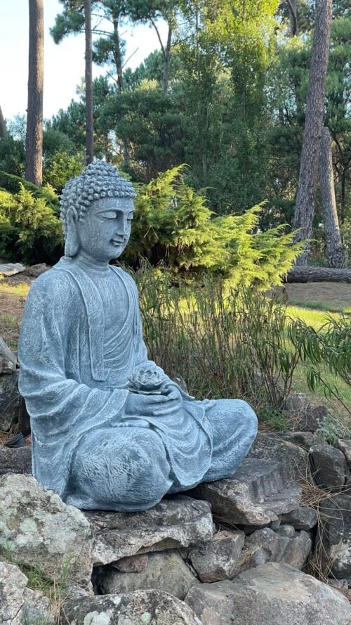 Buda loto gigante en un jardín