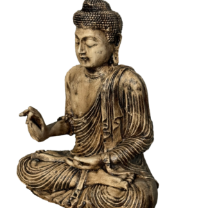 Buda Mudra Karana