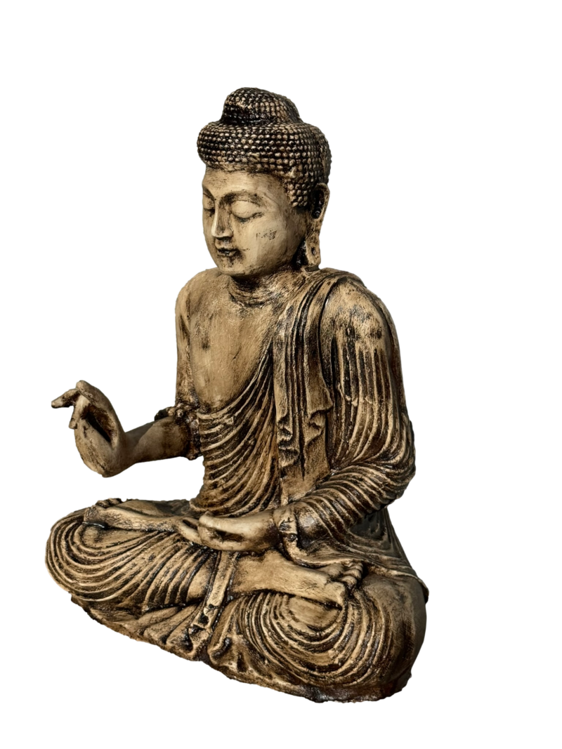 Buda Mudra Karana