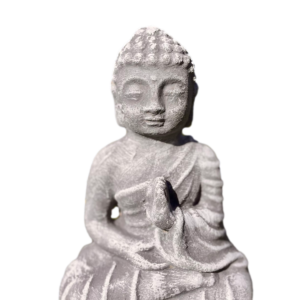 Buda meditando mini