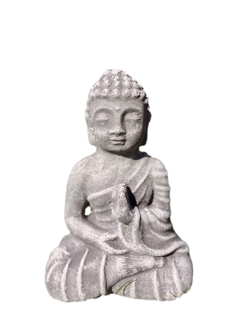 Buda meditando mini